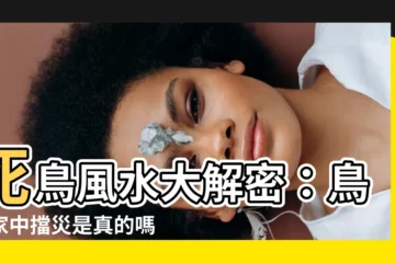 【死鳥風水】死鳥風水大解密：鳥死家中擋災是真的嗎？
