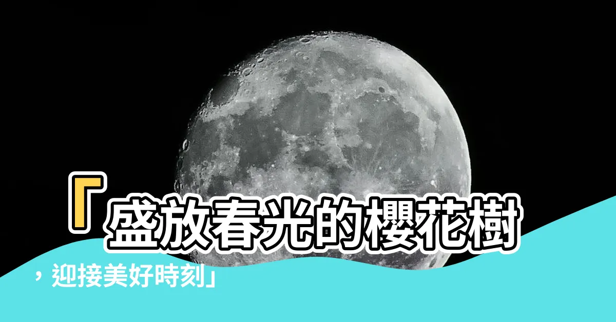 【櫻花樹】「盛放春光的櫻花樹，迎接美好時刻」