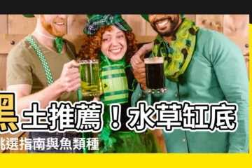 【黑土適合養什麼魚】黑土推薦！水草缸底砂挑選指南與魚類種類大公開