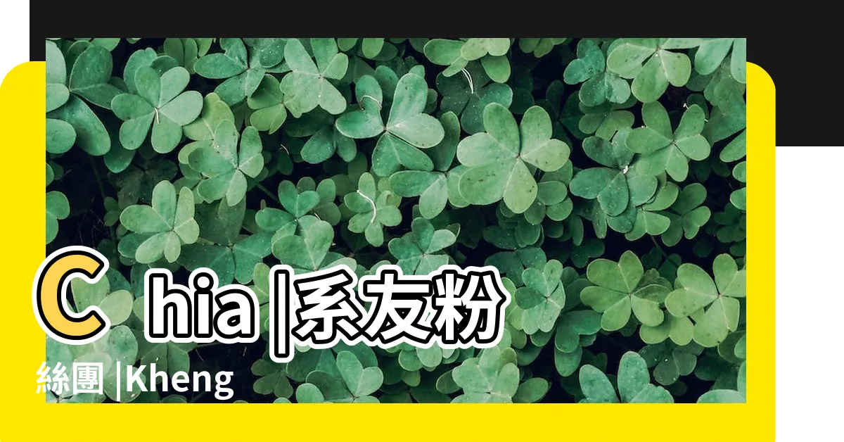 【吳佳慶】Chia |系友粉絲團 |Kheng |