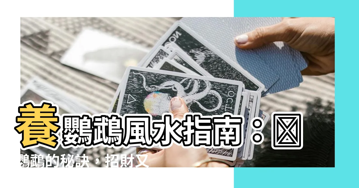 【養鸚鵡風水】養鸚鵡風水指南：養鸚鵡的秘訣，招財又避邪