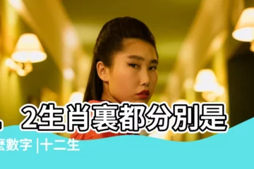 【12生肖裏1 49哪些是小數】12生肖裏都分別是什麼數字 |十二生肖49個數字中的小數 |閒話猜謎十三數學名詞入謎猜 |