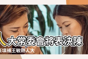 【2019年3月17日出殯】人大常委會將表決陳曉峯填補王敏剛人大出缺 |守夜名單 |王敏剛因病離世明天下午香港殯儀館設靈 |