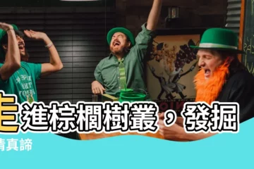 【棕櫚樹叢】走進棕櫚樹叢，發掘愛情真諦