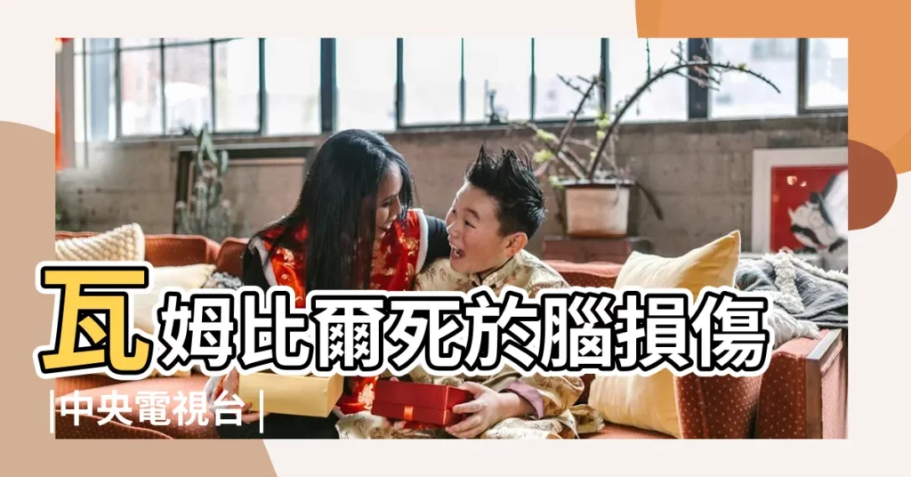 瓦姆比爾死於腦損傷 |中央電視台 |民國一百零六年 |【2017.9.28中央新聞】