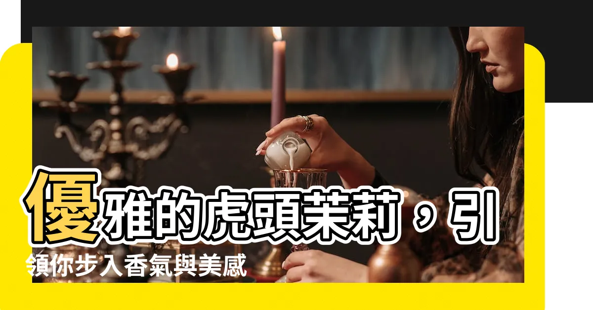 【虎頭苿莉】優雅的虎頭茉莉，引領你步入香氣與美感的殿堂