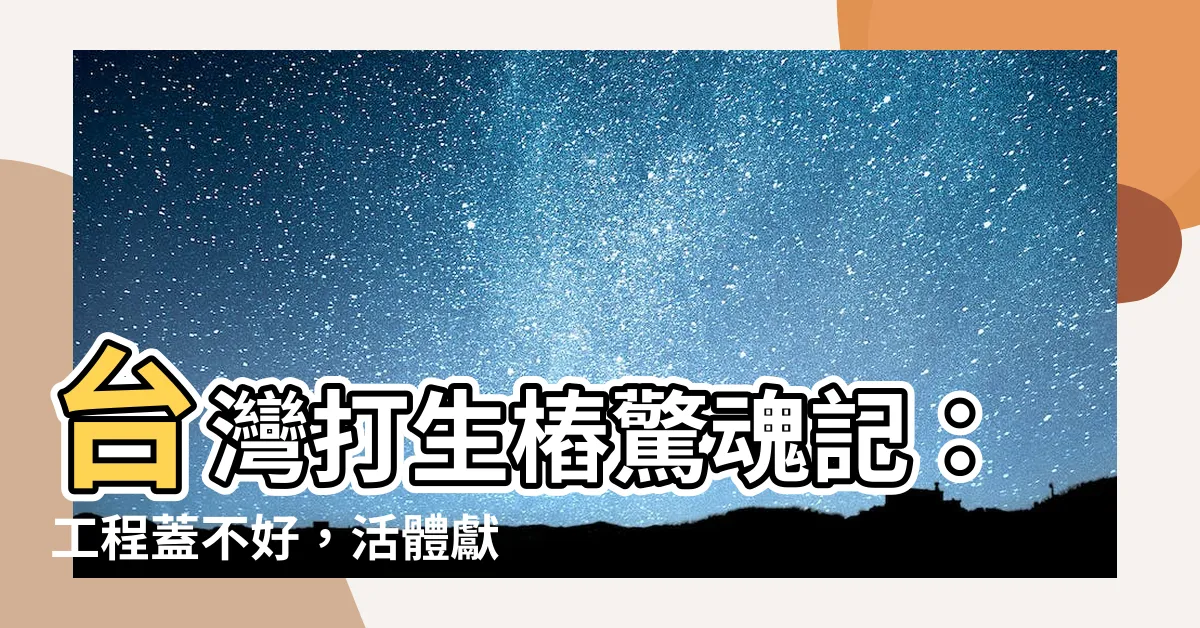 【打生樁台灣】台灣打生樁驚魂記：工程蓋不好，活體獻祭祭煞？