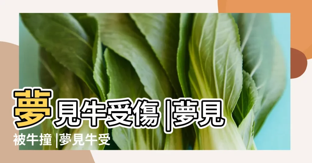 夢見牛受傷 |夢見被牛撞 |夢見牛受傷是什麼意思 |【夢見牛受傷了撞人了】