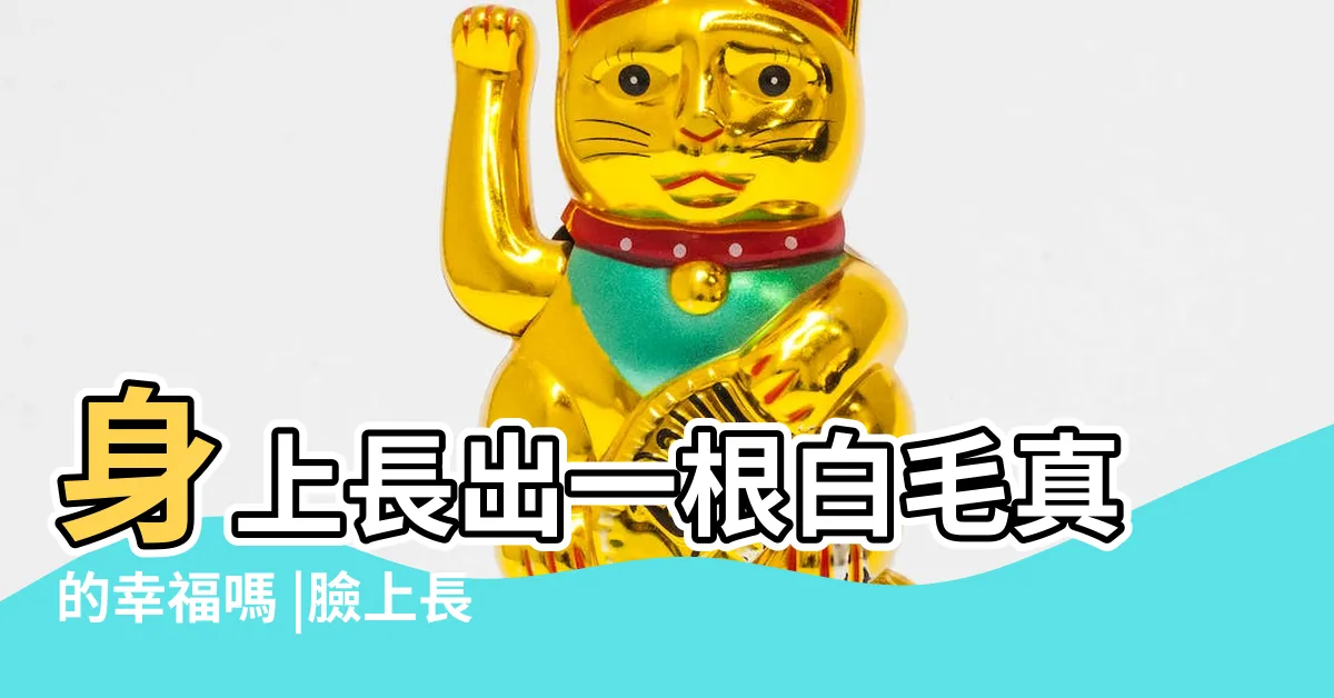 【臉長一根白毛】身上長出一根白毛真的幸福嗎 |臉上長一根白毛命理是吉是兇 |臉上長白毛是兇是吉 |