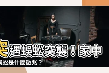 【出現蜈蚣】突遇蜈蚣突襲！家中有蜈蚣是什麼徵兆？救星妙招一次看
