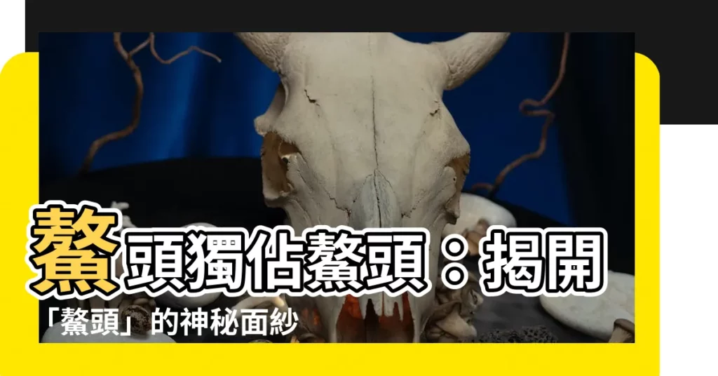 【鰲頭】鰲頭獨佔鰲頭：揭開「鰲頭」的神秘面紗