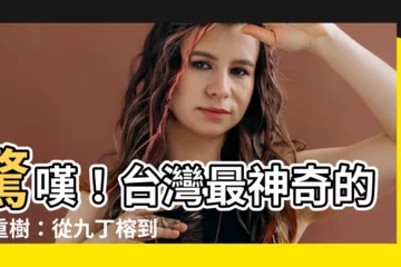 【九重樹】驚嘆！台灣最神奇的九重樹：從九丁榕到大葉九重炊