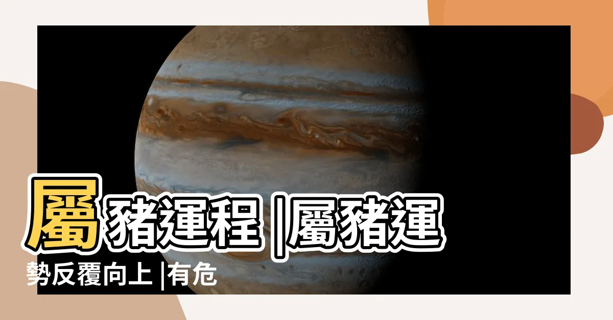【肖豬2024年運程】屬豬運程 |屬豬運勢反覆向上 |有危自有機 |