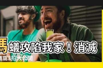 【家裡有螞蟻怎麼處理】螞蟻攻陷我家！消滅螞蟻窩3招大公開