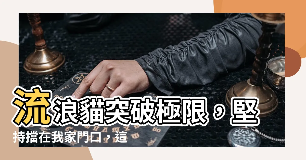 【流浪貓在門口】流浪貓突破極限，堅持擋在我家門口，這一戰竟成永恆！