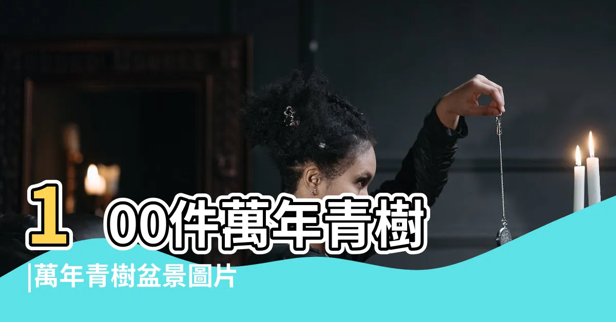 【萬年青樹】100件萬年青樹 |萬年青樹盆景圖片 |萬年青樹圖片 |