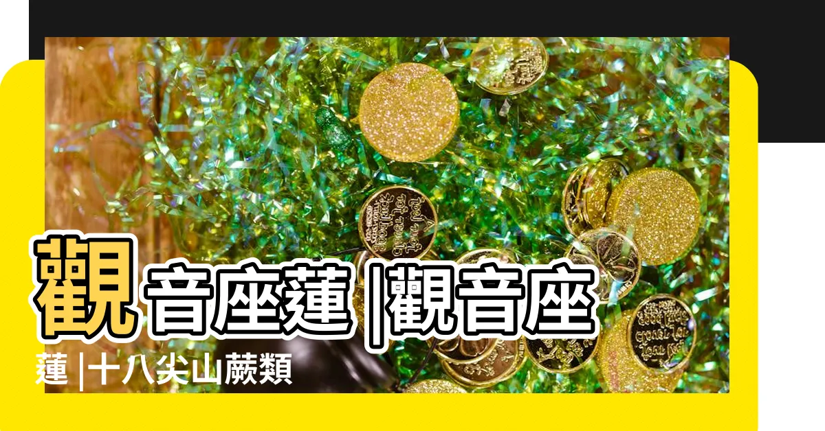 【觀音座蓮蕨特徵】觀音座蓮 |觀音座蓮 |十八尖山蕨類筆記 |