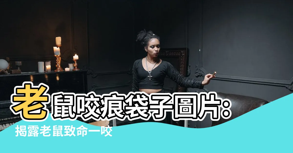 【老鼠咬痕袋子】老鼠咬痕袋子圖片: 揭露老鼠致命一咬的驚人痕跡!