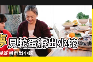 【夢見蛇蛋孵出孩子】夢見蛇蛋孵出小蛇 |夢見蛇蛋孵出小蛇 |夢見蛇孵蛋 |