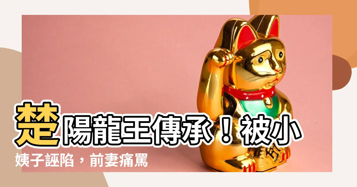 【楚陽龍王傳承】楚陽龍王傳承！被小姨子誣陷，前妻痛罵趕出家門
