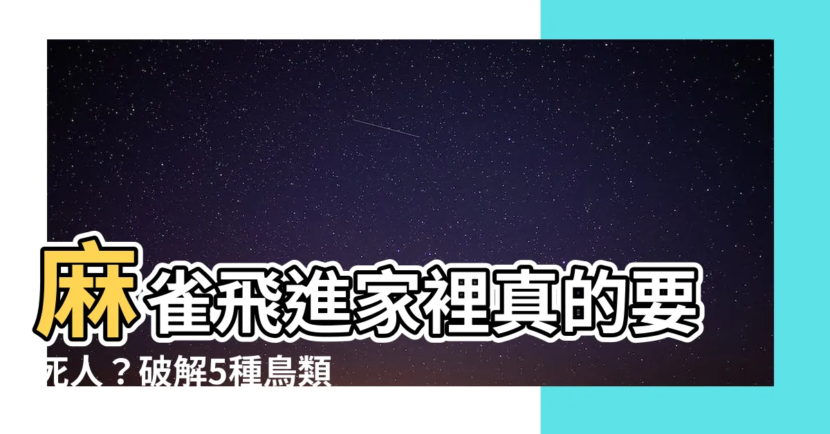 【麻雀入屋好不好】麻雀飛進家裡真的要死人?破解5種鳥類飛入屋的吉凶預兆!