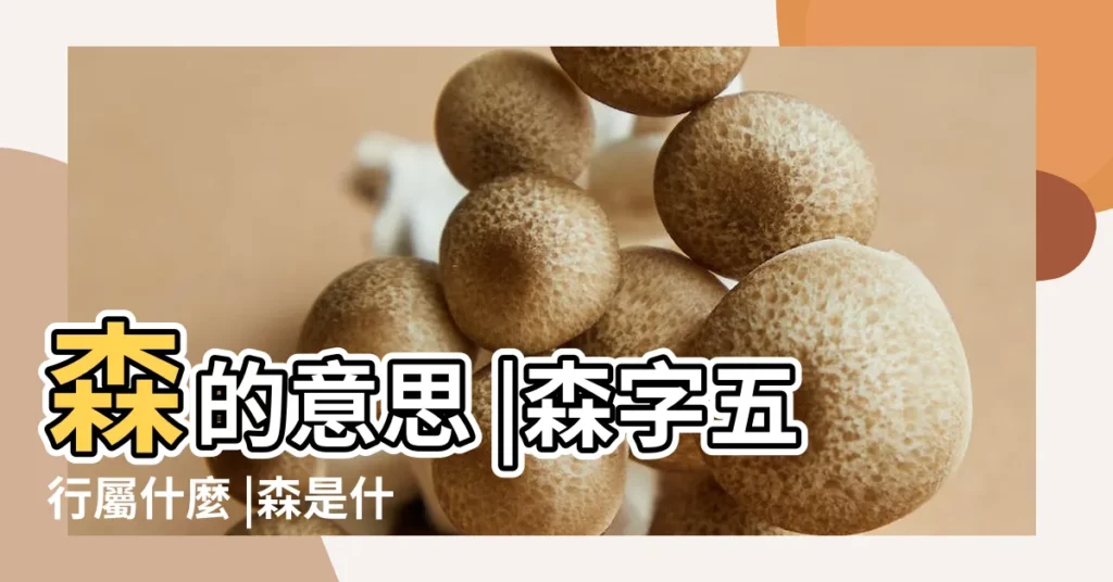 森的意思 |森字五行屬什麼 |森是什麼意思森字五行屬什麼 |【森五行】