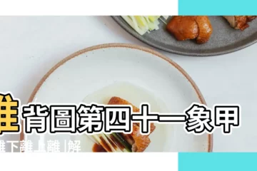 【推背囹四十一象】推背圖第四十一象甲辰離下離上離 |解中共命運和冠狀病毒 |推背圖40和41象 |