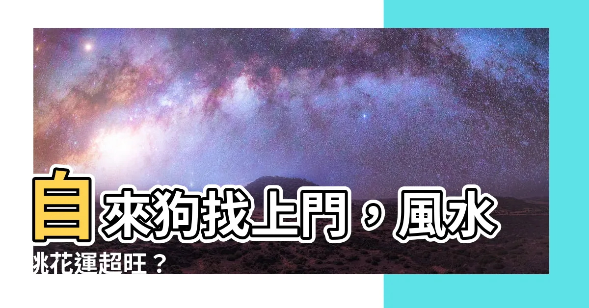 【自來狗 風水】自來狗找上門，風水桃花運超旺？