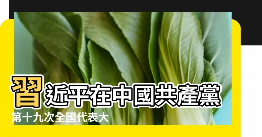 習近平在中國共產黨第十九次全國代表大會上的報告 |中國共產黨第十九次全國代表大會在京開幕習近平 |中國共產黨第十九次全國代表大會 |【2017年10月十九】