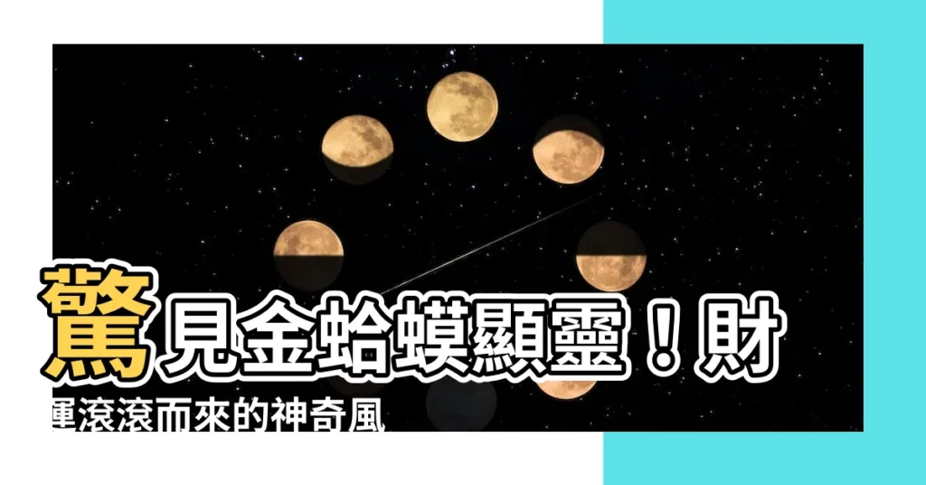 【金蛤蟆】驚見金蛤蟆顯靈!財運滾滾而來的神奇風水法寶