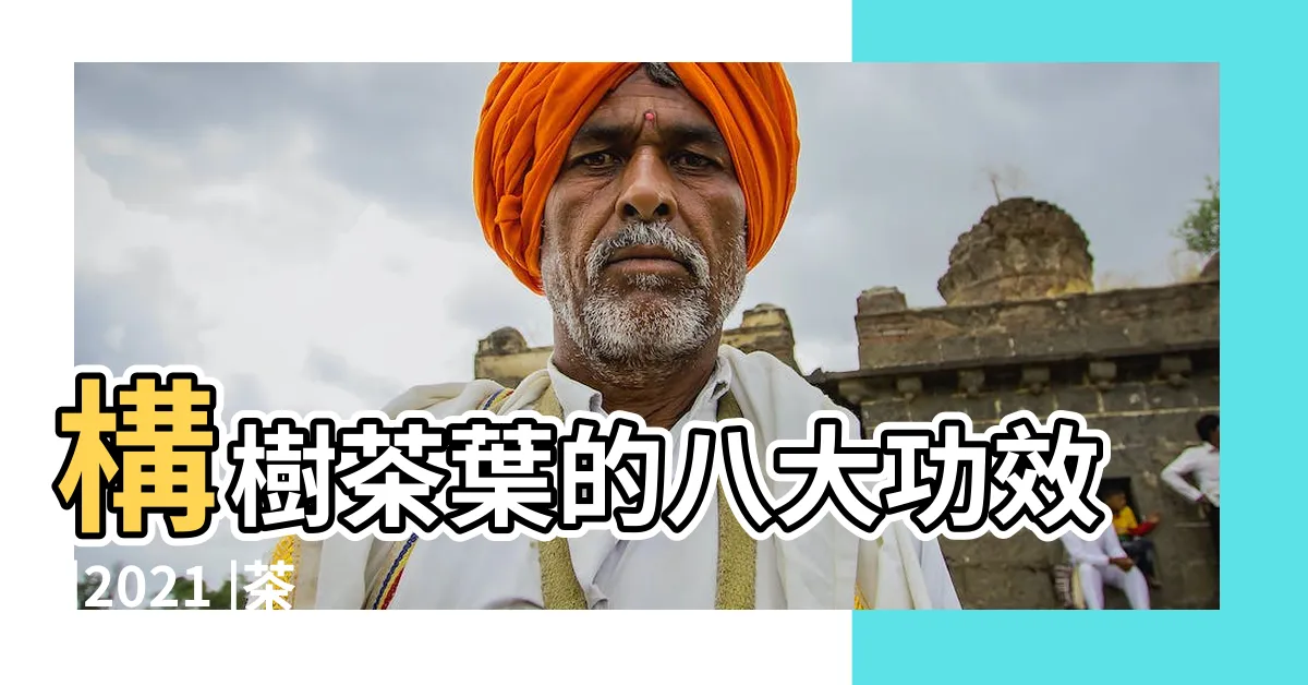 【構樹茶功效】構樹茶葉的八大功效 |2021 |茶裡有三寶 |