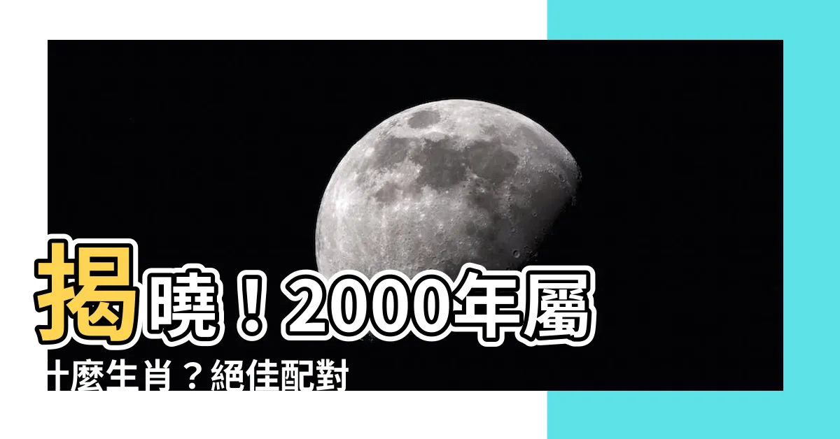 【2000屬什麼】揭曉！2000年屬什麼生肖？絕佳配對與命定伴侶懶人包
