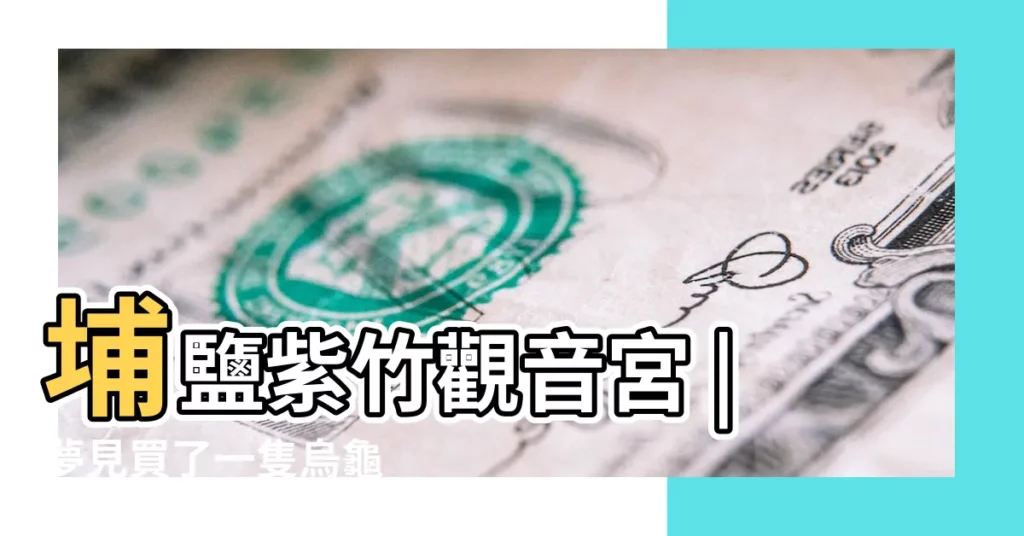 埔鹽紫竹觀音宮 |夢見買了一隻烏龜 |夢見海龜是什麼寓意 |【做夢夢到買了一隻海龜】