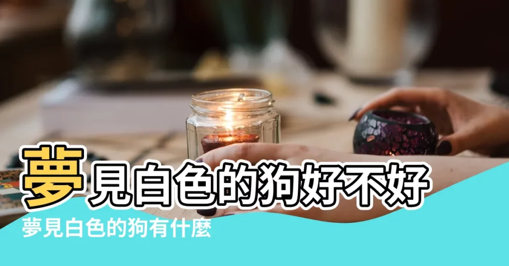 夢見白色的狗好不好夢見白色的狗有什麼預兆 |夢見白色的狗 |夢見白色狗 |【夢養了一隻白色的狗】