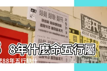 【1988年出生的人五行】88年什麼命五行屬什麼88年五行缺什麼 |1988年 |五行缺什麼 |
