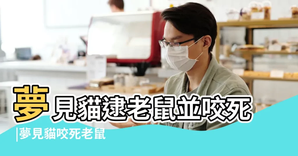 夢見貓逮老鼠並咬死 |夢見貓咬死老鼠 |夢見貓把老鼠咬死了 |【夢見貓抓老鼠並咬死了】