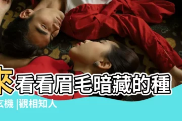 【女孩眉毛散】來看看眉毛暗藏的種種玄機 |觀相知人 |4種心機女的眉毛面相 |