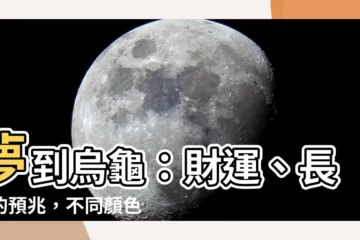 【夢 龜】夢到烏龜：財運、長壽的預兆，不同顏色揭露隱藏含義