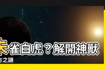 【朱雀白虎】朱雀白虎？解開神獸四方之謎