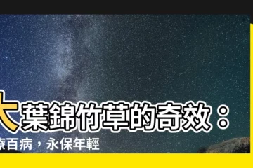 【大葉錦竹草功效】大葉錦竹草的奇效：治療百病，永保年輕！
