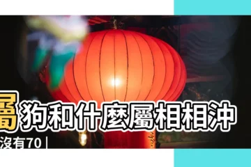 【94狗和什麼屬相不和】屬狗和什麼屬相相沖 |有沒有70 |94屬狗的 |