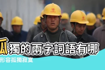 【兩個字形容寂寞】孤獨的兩字詞語有哪些 |形容孤獨寂寞的2字詞語 |形單影隻 |