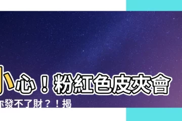 【粉紅色皮夾】小心！粉紅色皮夾會讓你發不了財？！揭曉招財皮夾必備 6 色