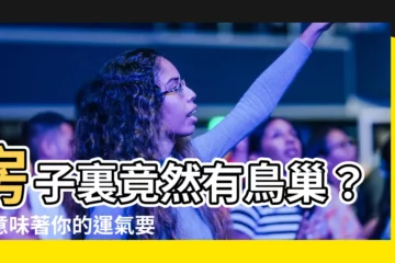 【房子有鳥巢】房子裏竟然有鳥巢？這意味著你的運氣要大發了！