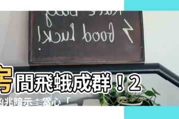【房間很多飛蛾】房間飛蛾成羣！2 大凶兆暗示：當心「2 事」即將發生？