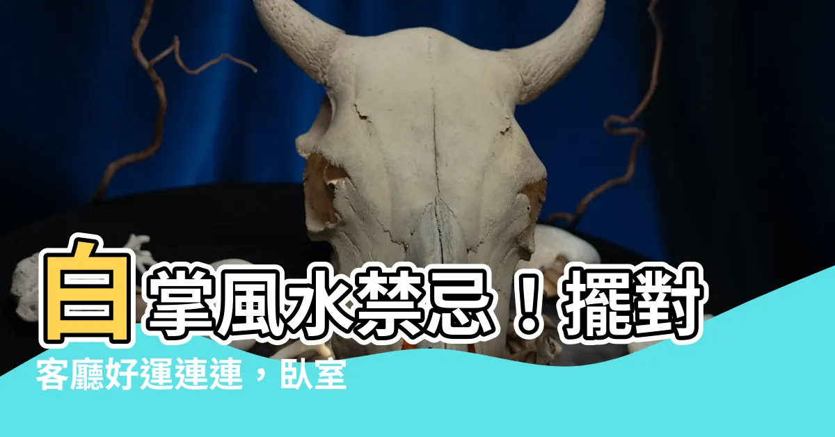 【白掌風水】白掌風水禁忌！擺對客廳好運連連，卧室擺放禁忌一次看懂