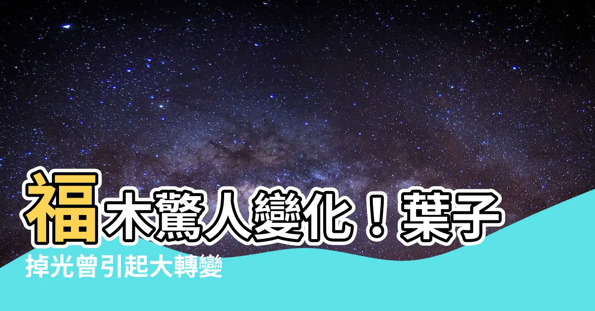 【福木葉子掉光】福木驚人變化！葉子掉光曾引起大轉變