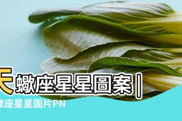 【天蠍座星星標誌圖片】天蠍座星星圖案 |天蠍座星星圖片PNG去背圖 |天蠍座圖片PNG去背圖 |
