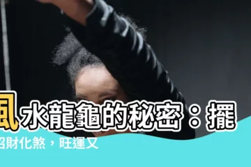 【風水龍龜】風水龍龜的秘密：擺放招財化煞，旺運又趨吉！