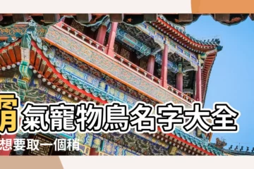 【霸氣一點的動物名字大全】霸氣寵物鳥名字大全 |我想要取一個稍微霸氣一點的帶動物名字的遊戲角色名 |最全的好聽洋氣的寵物名字大全 |